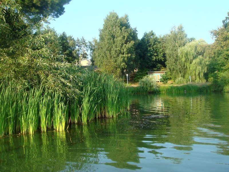 Житомирская обл.