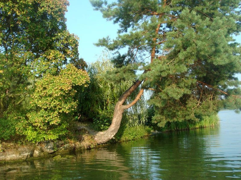 Житомирская обл.