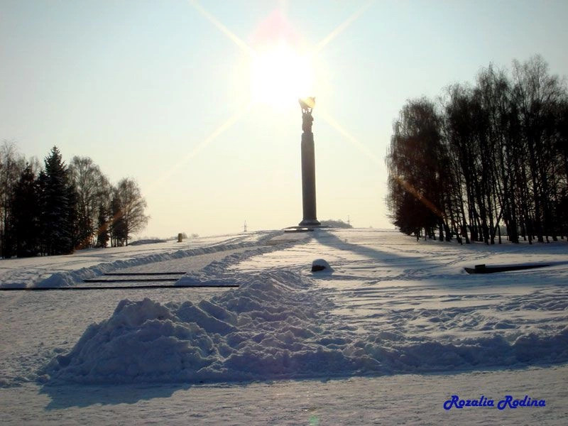 Житомирская обл.