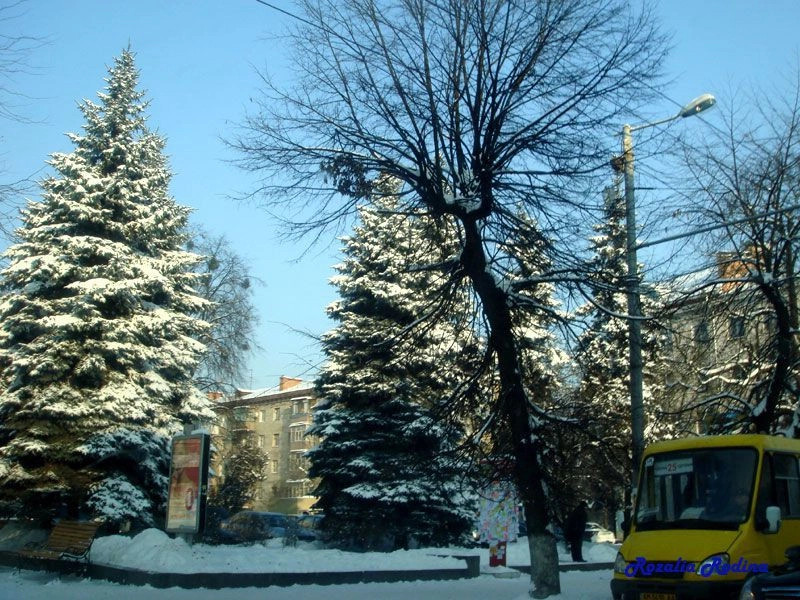 Житомирская обл.
