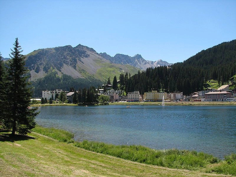 Ароза
