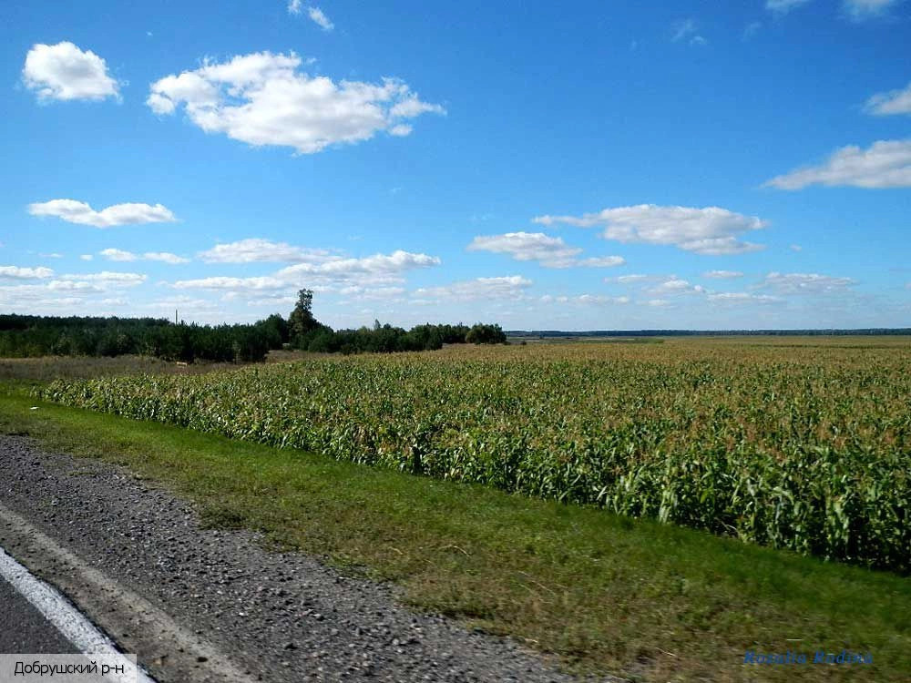 Гомельская область