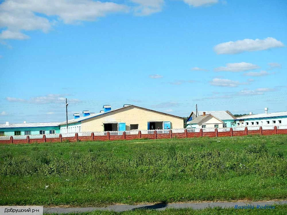 Гомельская область
