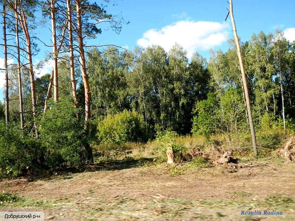 Гомельская область