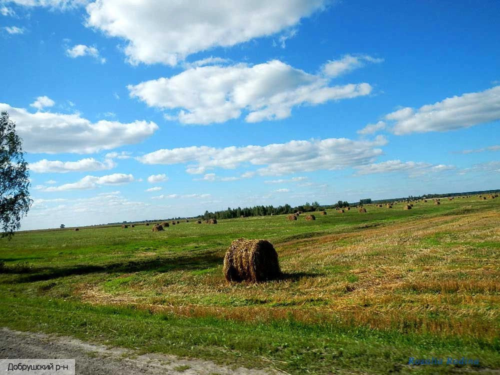 Гомельская область