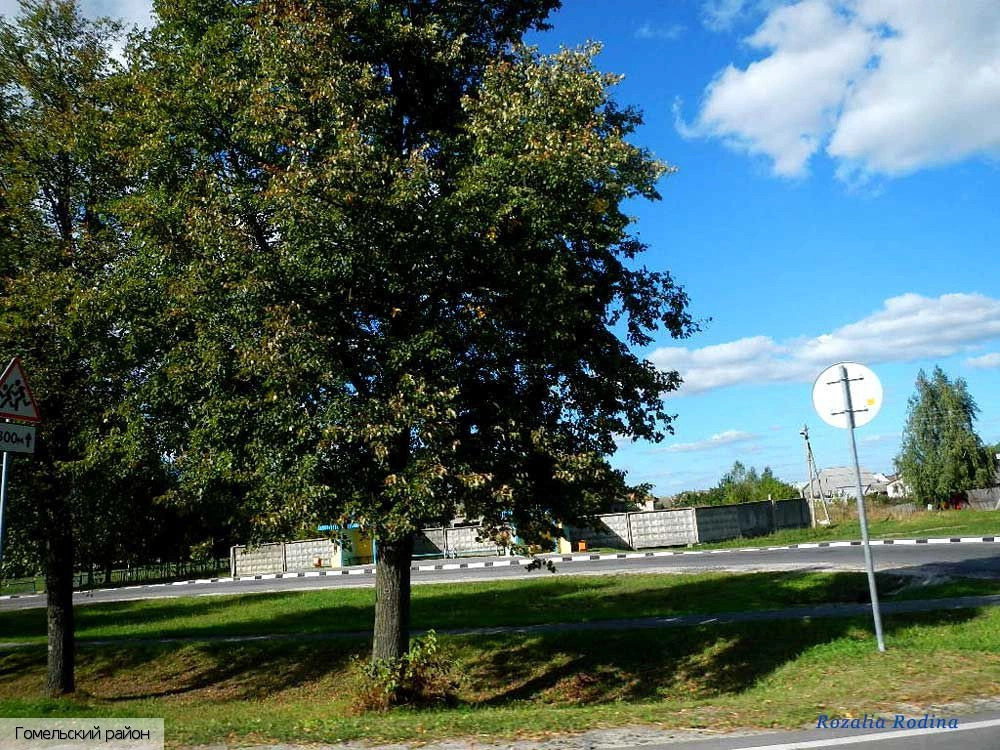 Гомельская область