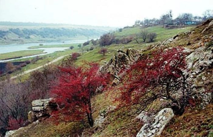 Кировоградская обл.