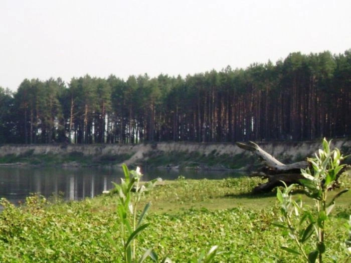 Черниговская обл.