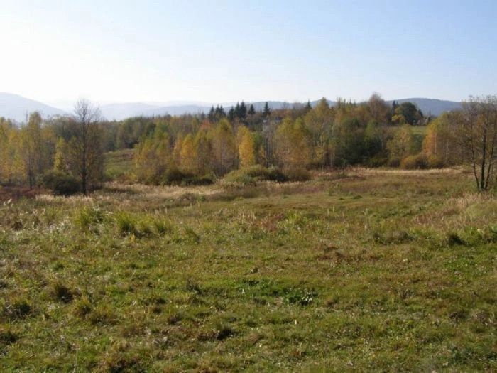 Черновицкая обл.