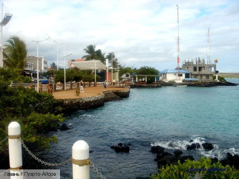 Ocean View Home 5*