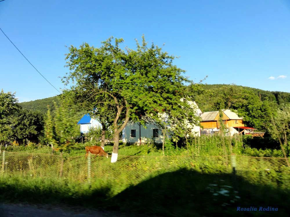 Яремче
