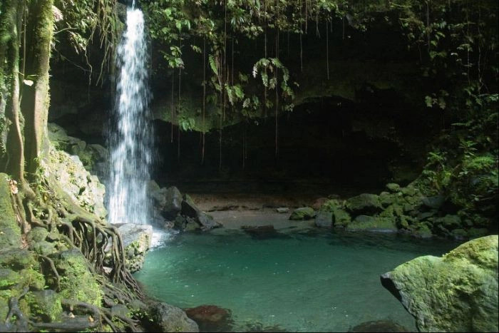  Доминика (экскурс.)