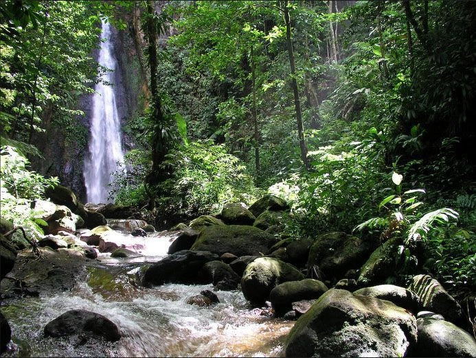  Доминика (экскурс.)