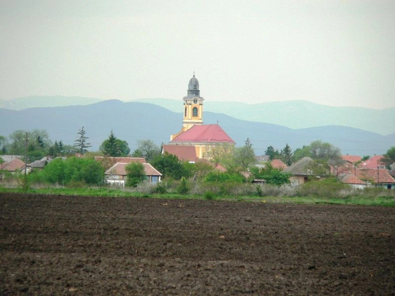Бешенётелек