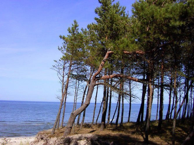Погожелица