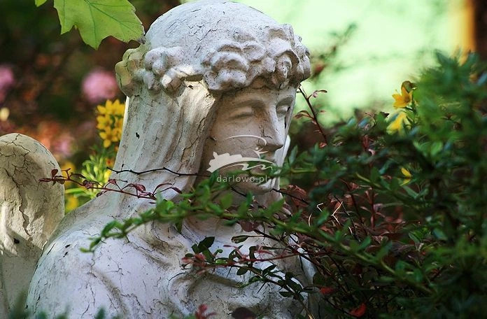 Дарлово