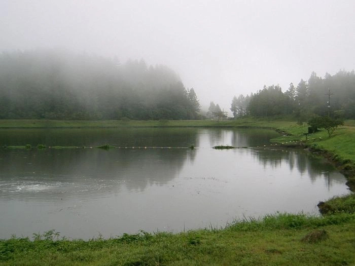 Чиркуи