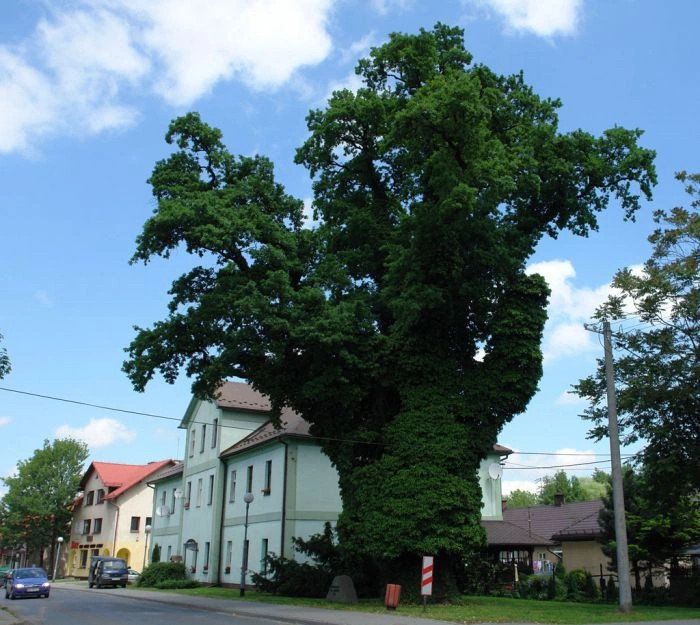 Устронь