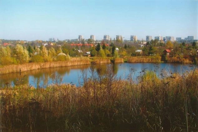 Тарнув