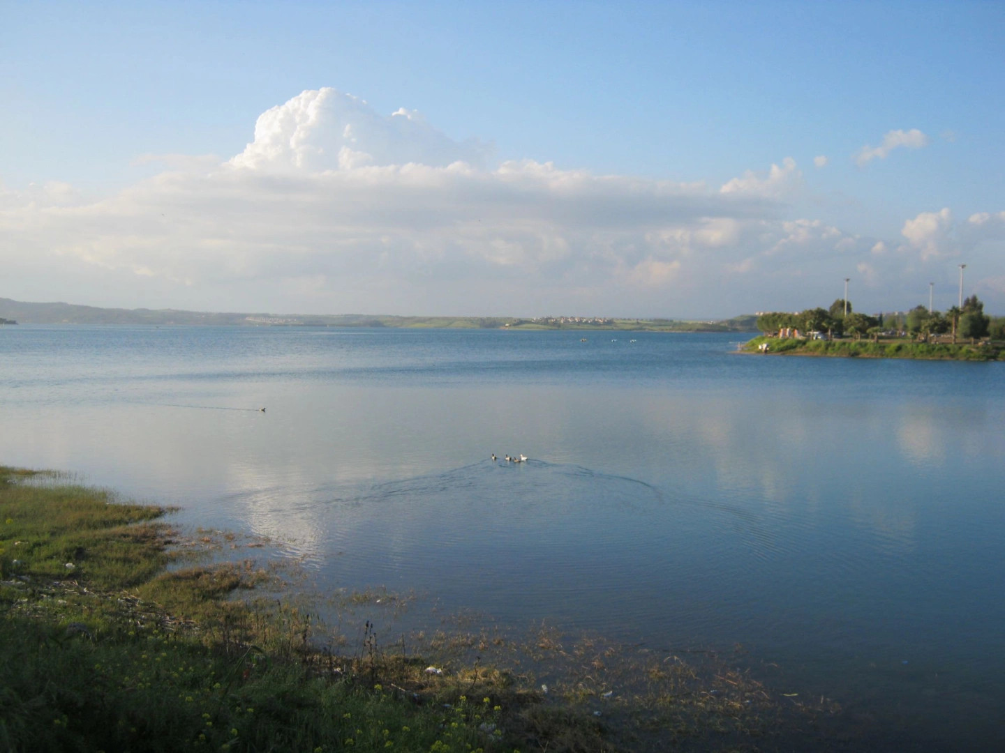 Адана