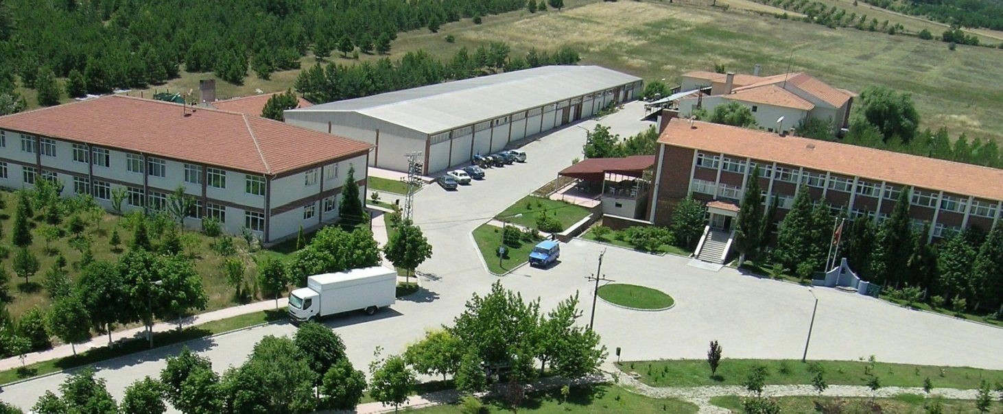 Биледжик