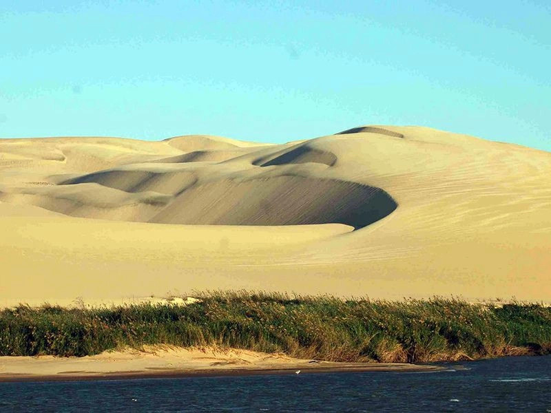 Кунене