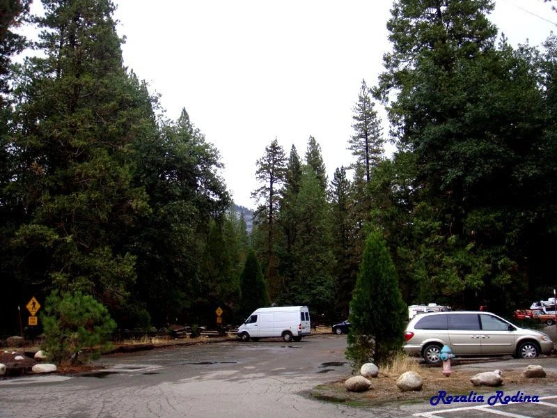 The Ahwahnee Hotel 