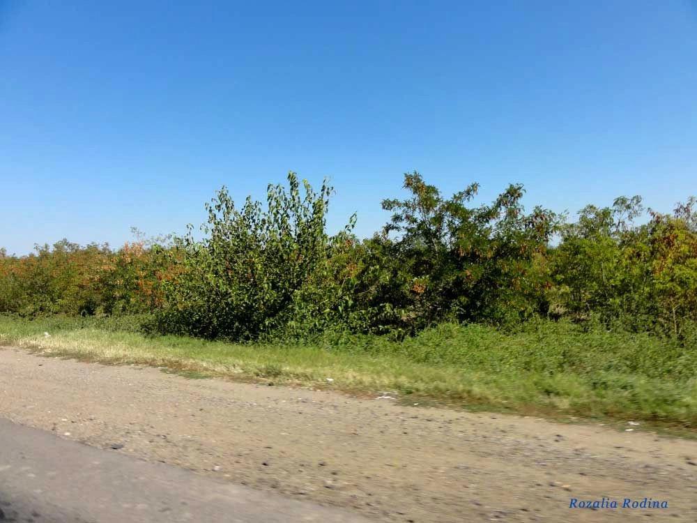 Штефан-Водский район