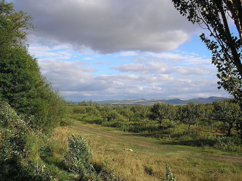 Розовое (Казбий-Эли) село