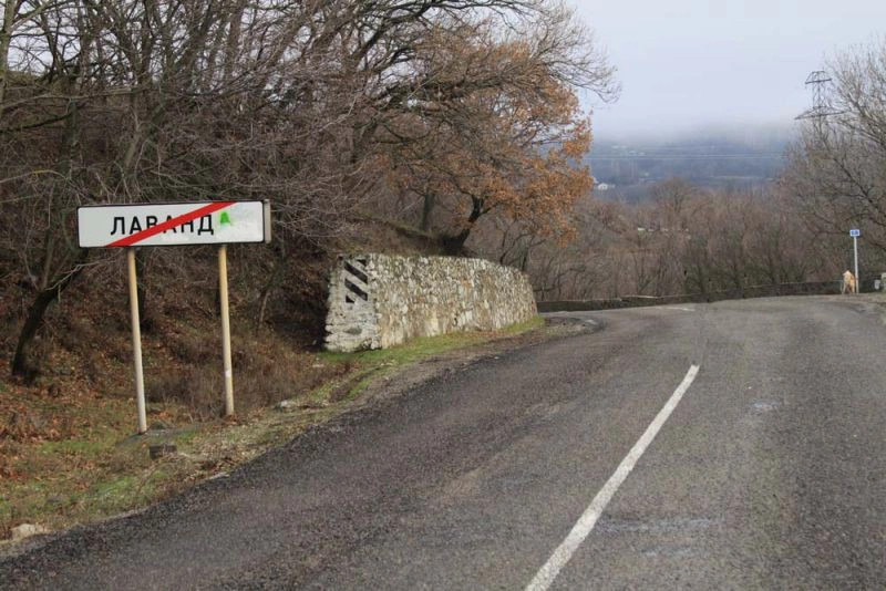 Лаванда