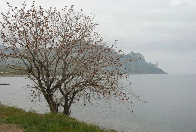 Весёлое (Кутлак)