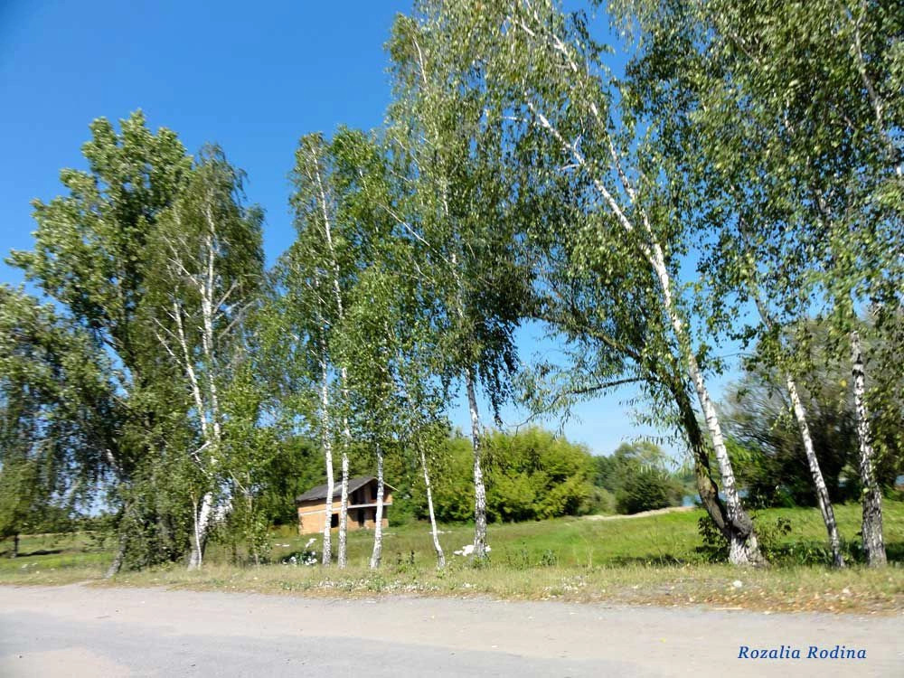 Калиновский район