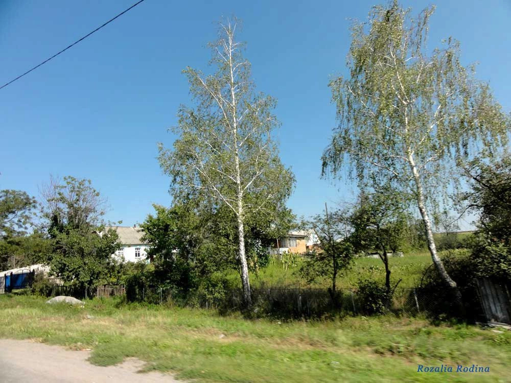 Казатинский район