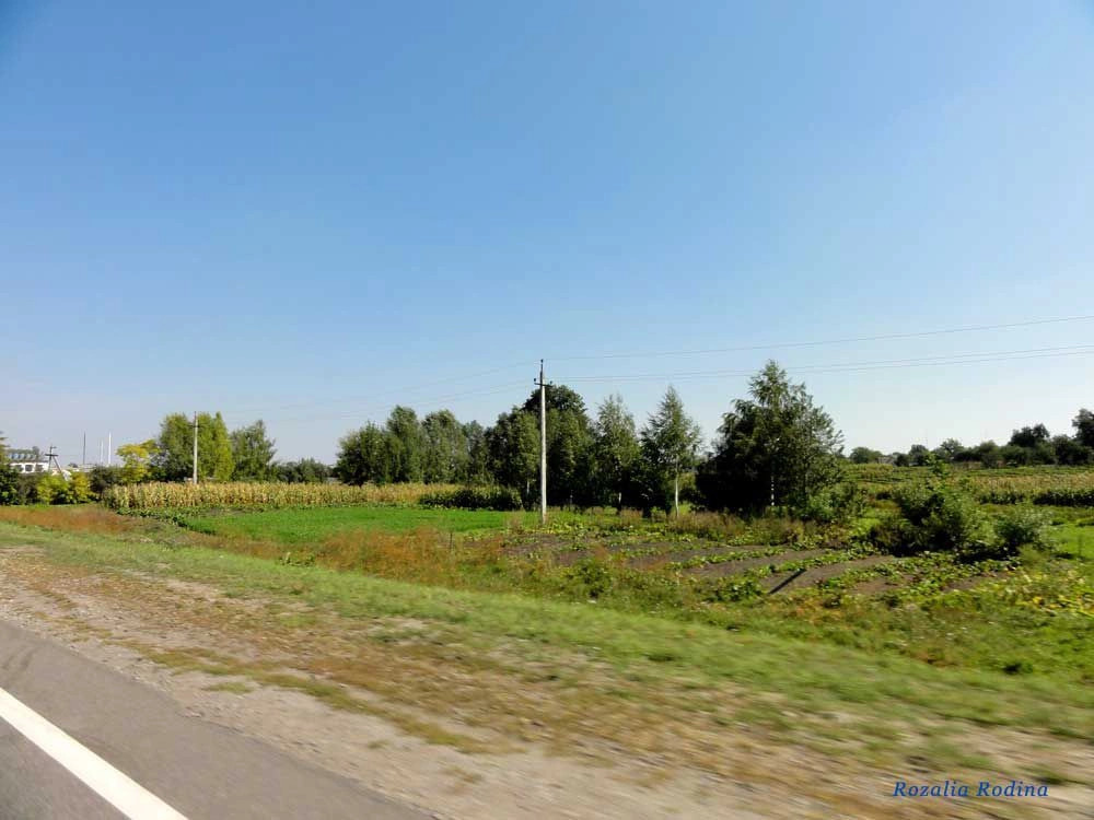 Калиновка (Вин.)