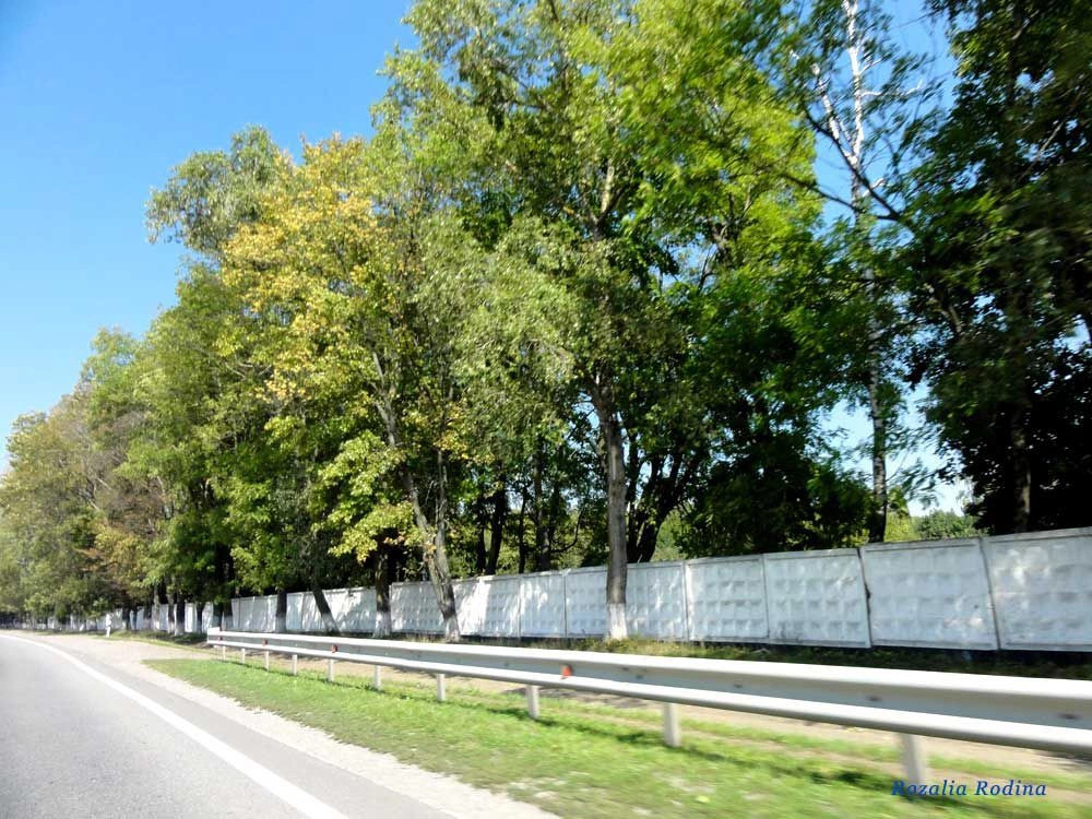 Калиновка (Вин.)