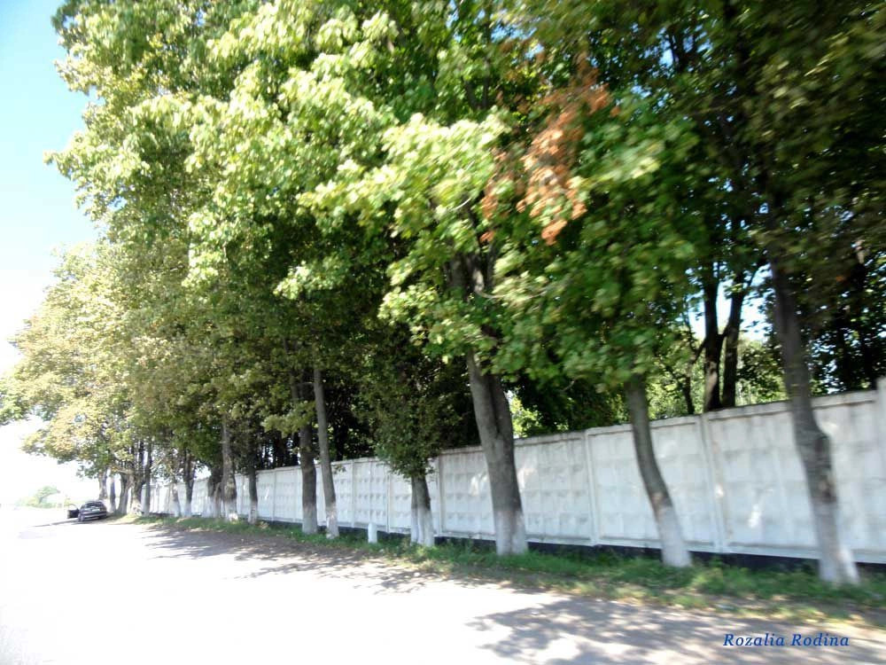 Калиновка (Вин.)