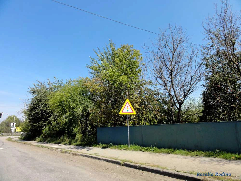 Стрижавка