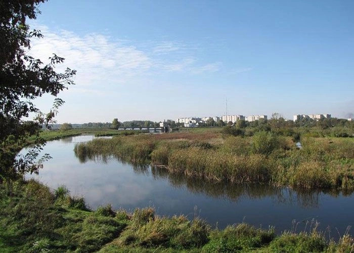 Ковель