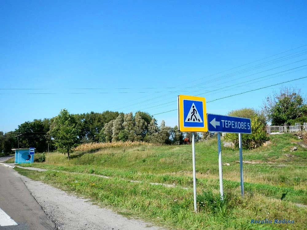 Бердичевский район