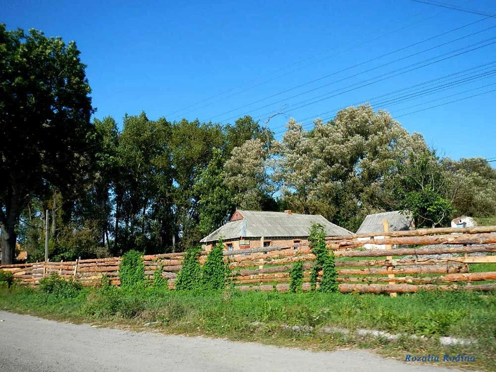 Бердичевский район