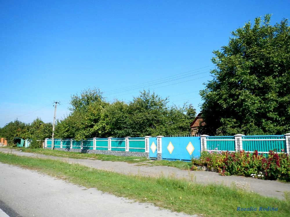 Бердичевский район