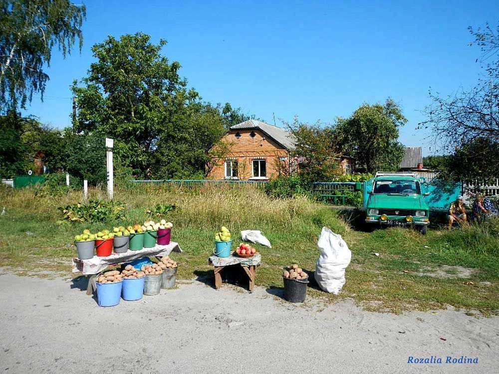 Бердичевский район