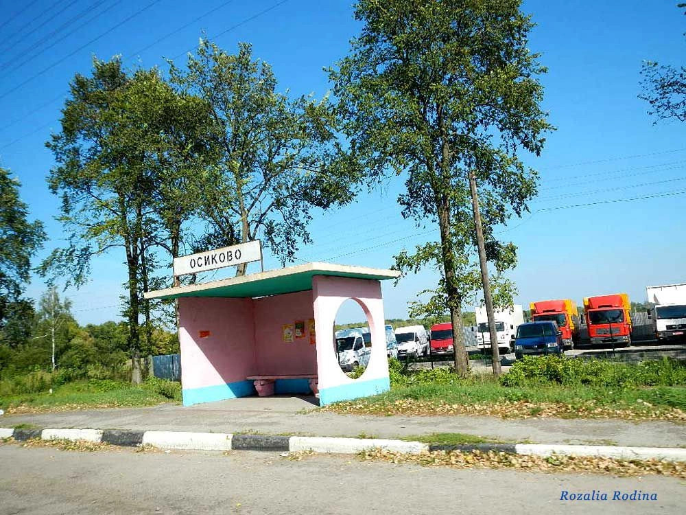 Бердичевский район