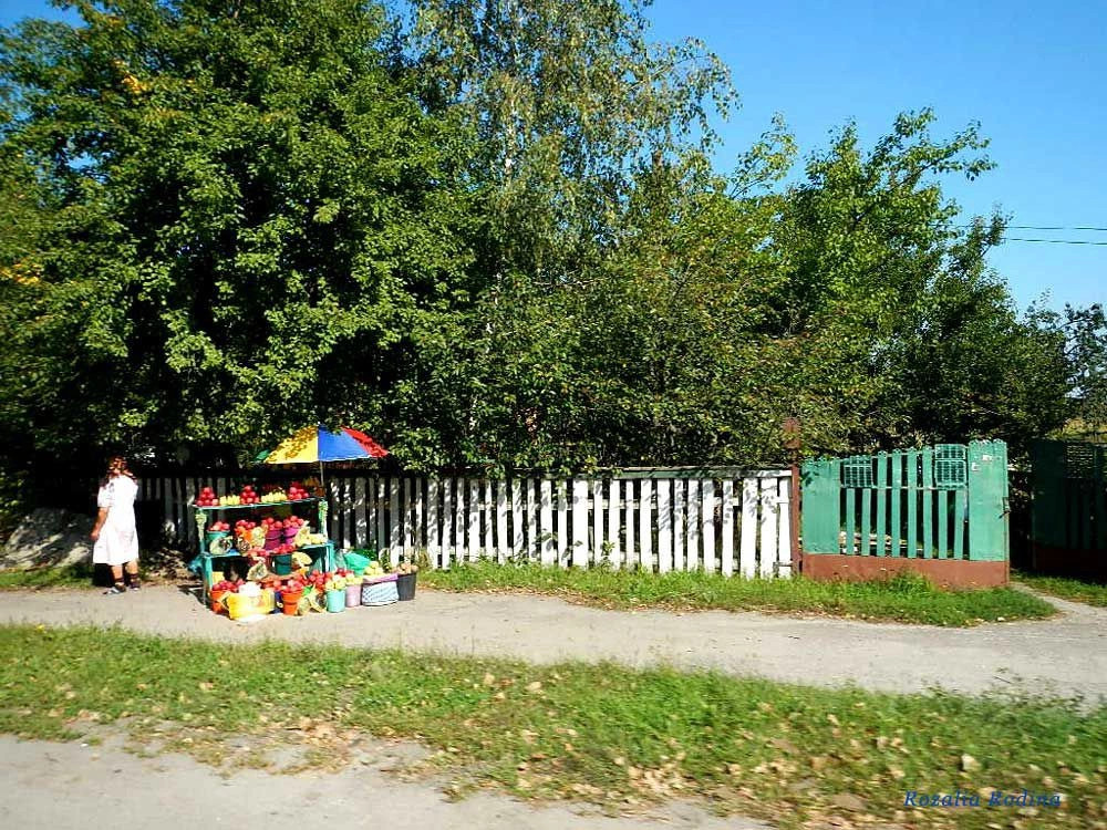 Бердичевский район
