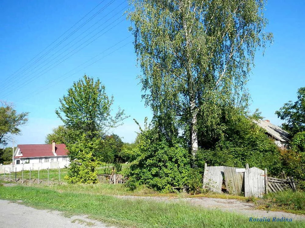 Бердичевский район