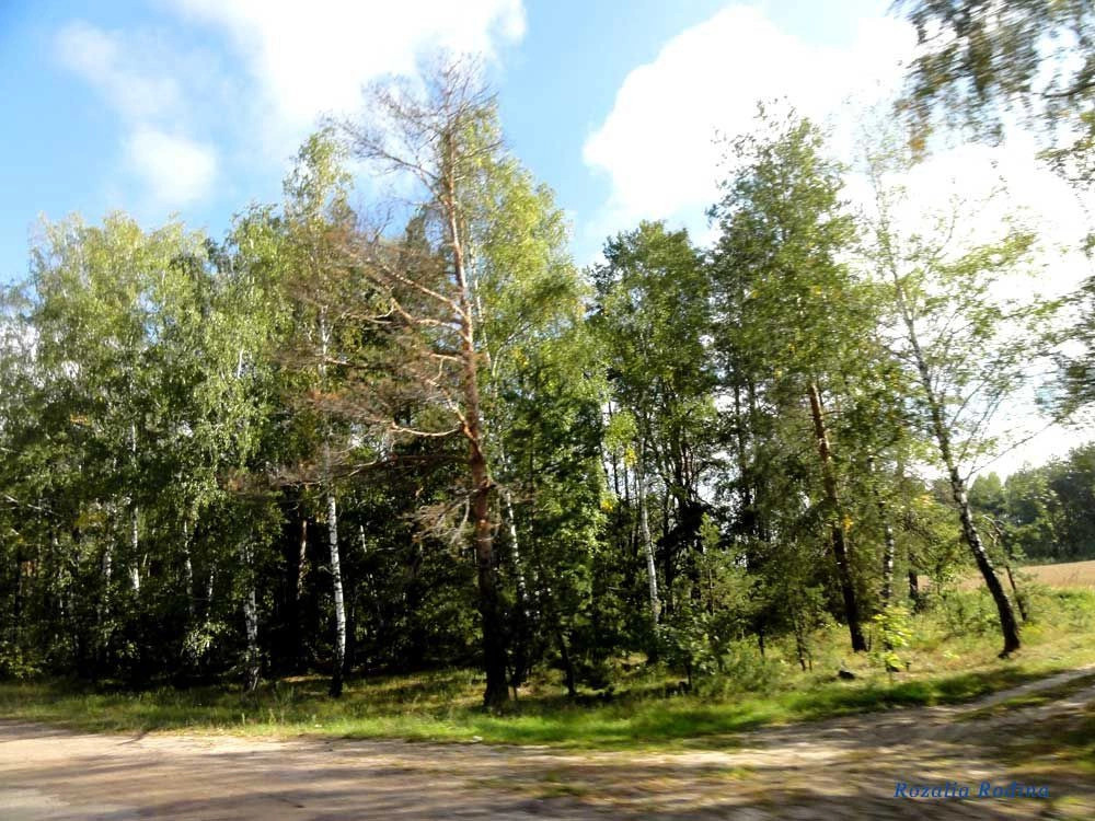 Володарско-Волынский район