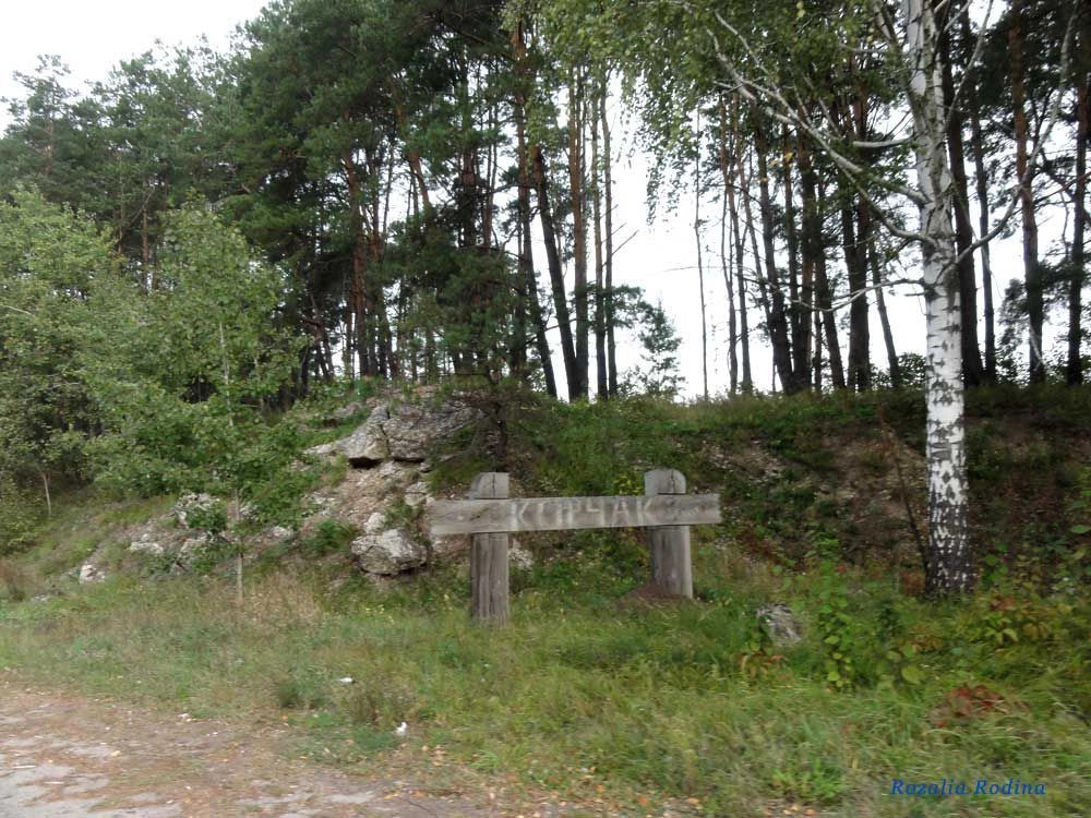 Житомирский район