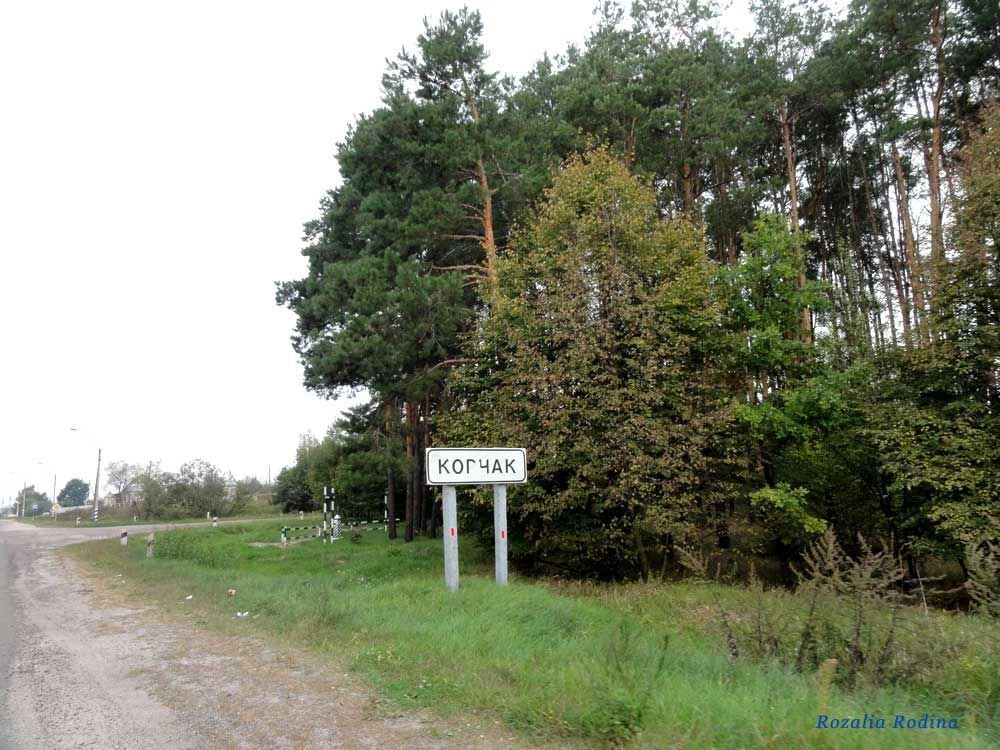 Житомирский район