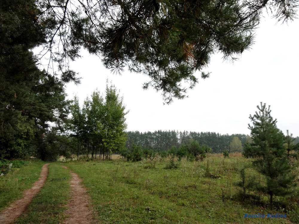 Житомирский район