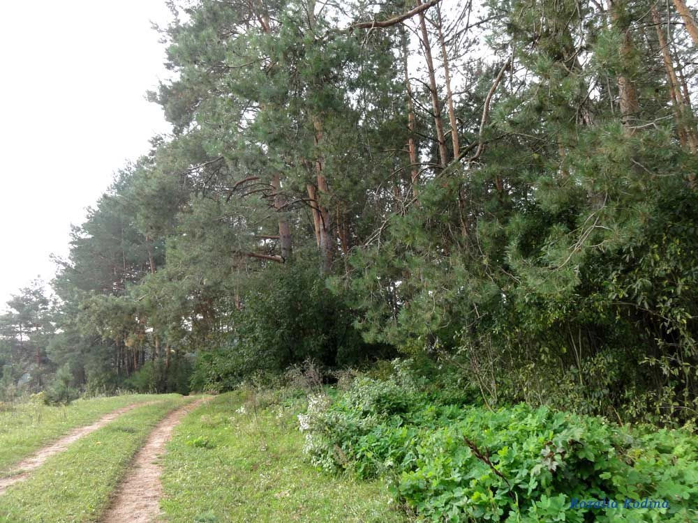 Житомирский район